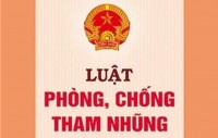 luật tn