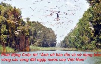 Phát động Cuộc thi “Ảnh về bảo tồn và sử dụng bền vững các vùng đất ngập nước của Việt Nam”