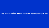 BNCDNN