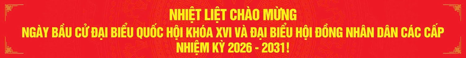 bau cu